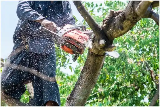tree services Muskego